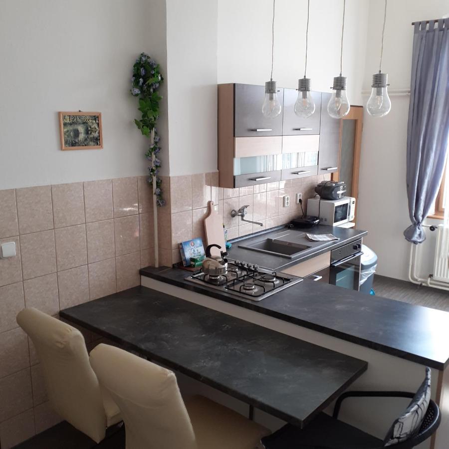 Apartma Františkovy Lázně Zewnętrze zdjęcie